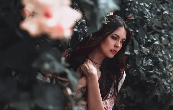 Leaves, girl, hair, hands, Suanny Andrade