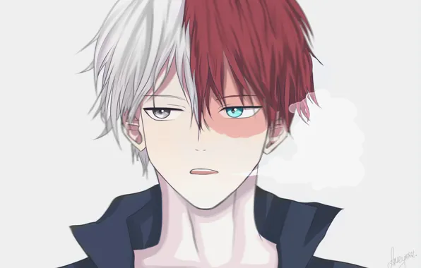 Picture anime, art, guy, Boku no Hero Academy, Todoroki Shouto, My heroic academia