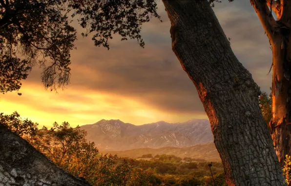 Picture mountains, tree, dal