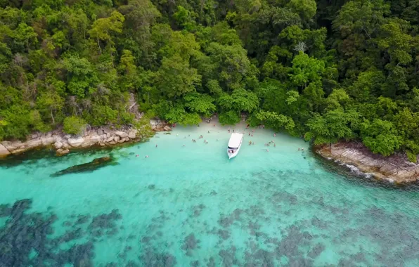Beach, trees, stones, coast, island, top, from above, Koh Yang