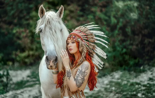 Picture decoration, nature, pose, background, model, horse, portrait, feathers