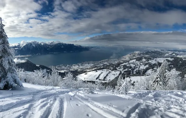 Winter, snow, trees, mountains, lake, Switzerland, Alps, panorama