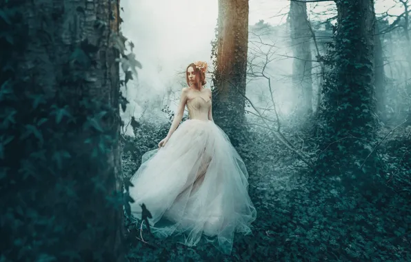 Picture forest, girl, trees, fog, dress, Princess, ivy