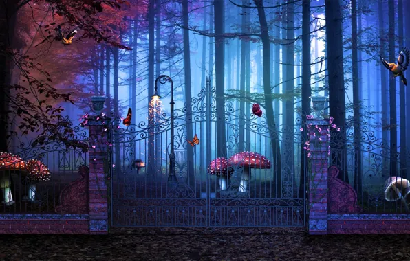 Picture forest, mushrooms, gate, Magical Gate To Artistic Forest