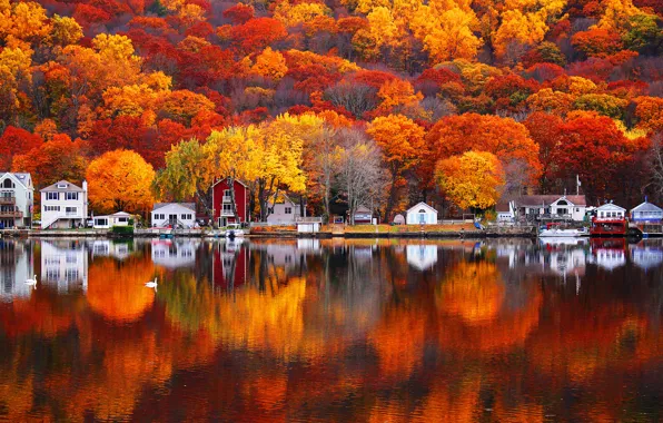 Autumn, leaves, trees, nature, lake, reflection, paint, home