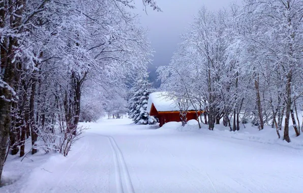 Picture winter, road, forest, the sky, snow, landscape, nature, house