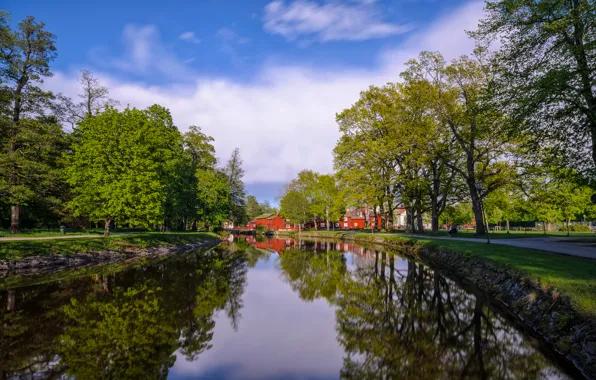 Picture summer, the sky, trees, pond, Park, Nature, summer, sky