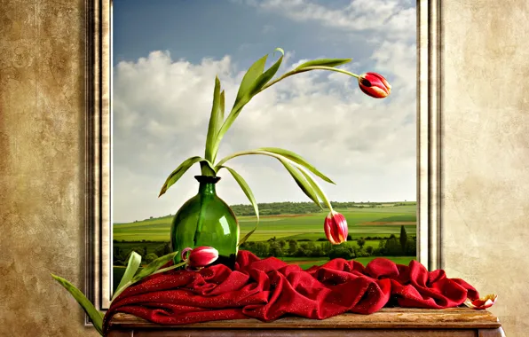 Light, picture, Wall, tulips, vase