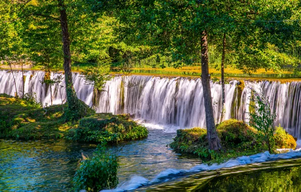 Picture greens, forest, light, waterfall, stream