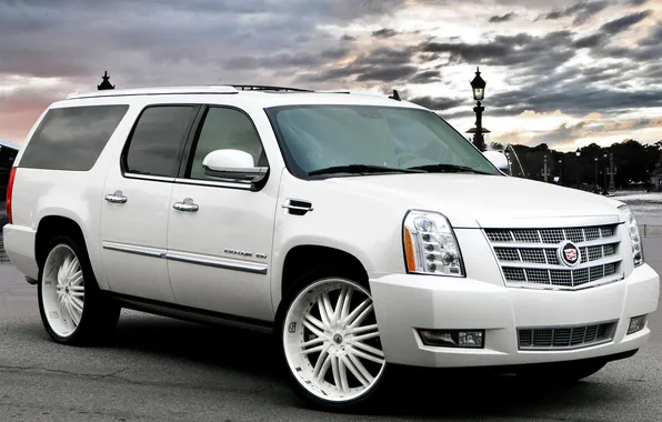 White, cadillac, escalade