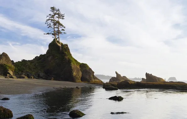 Sea, trees, stones, rocks