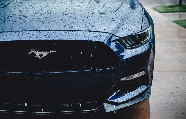 Picture Ford Mustang, muscle car, water drops