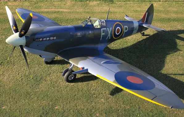 Picture Screw, Fighter, Gun, Spitfire, Supermarine Spitfire, RAF, The Second World War, Chassis