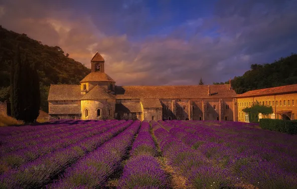 Picture field, France, the monastery, lavender