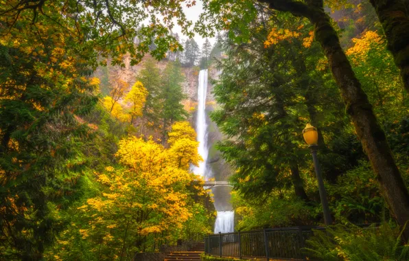 Picture autumn, trees, waterfall, Oregon, lantern, Oregon, Columbia River Gorge, Multnomah Falls
