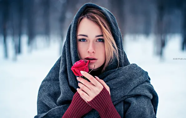 Picture look, girl, snow, trees, face, sweetheart, model, rose