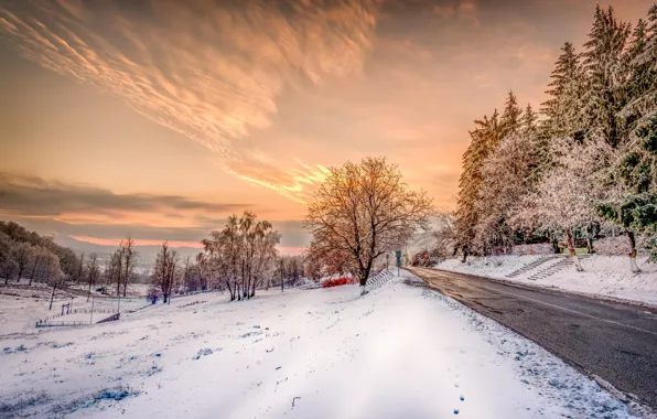 Picture winter, road, the sky, snow, trees, landscape, zakt