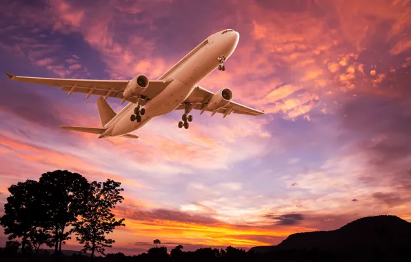 The sky, trees, flight, landscape, the plane, glow, silhouettes, the rise