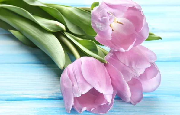 Flowers, bouquet, tulips, wood, pink, flowers, tulips, spring