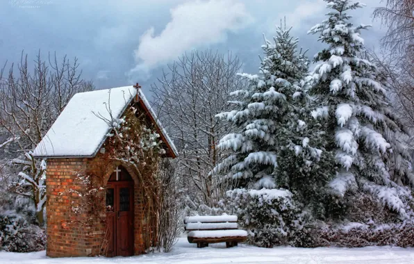 Picture Park, snow, winter, bench, trees, chapel, forest