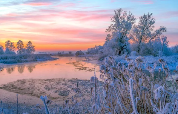 Picture winter, frost, clouds, snow, trees, river, dawn, shore