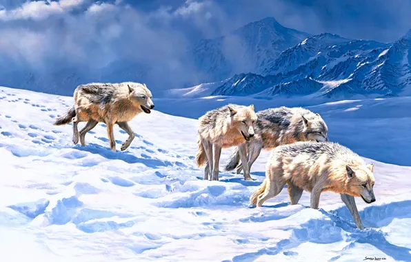 Winter, field, light, snow, mountains, traces, nature, figure