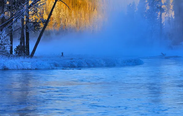 Winter, frost, fog, river, Wyoming, USA, Yellowstone National Park