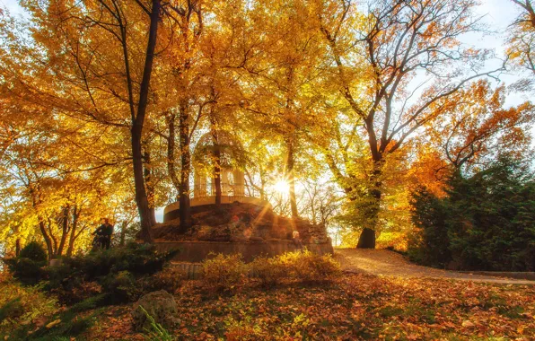 Picture autumn, the sun, rays, landscape, nature, Park, Krasnodar, Paul Sahaidak