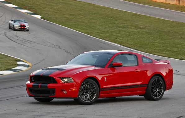 Picture Mustang, Ford, Shelby, GT500, Mustang, Ford, Shelby, SVT