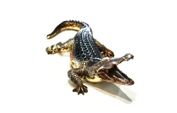 Metal, gold, crocodile, bronze, alligator