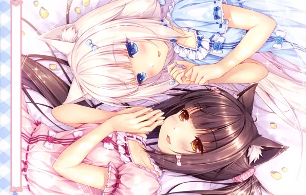 Hands, blue eyes, friend, ruffles, cat ears, Vanilla, Chocola, Anything para