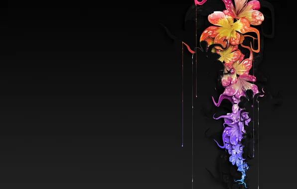 Drops, flowers, paint, black background