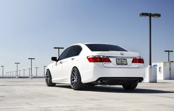 White, Honda, Accord, Honda, Acura, TSX