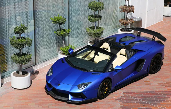 Picture Roadster, Lamborghini, LP700-4, Aventador, matte blue