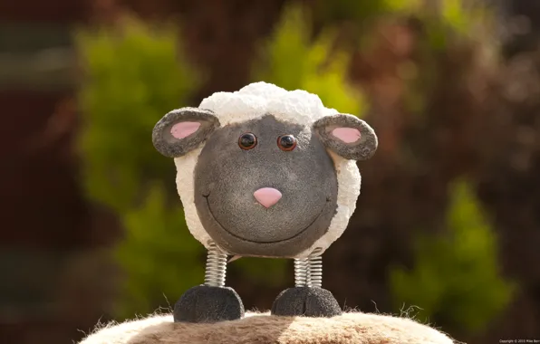 Picture smile, photo, toy, sheep