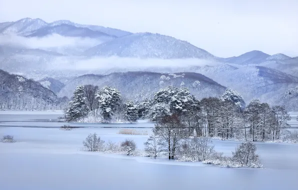 Picture winter, mountains, river