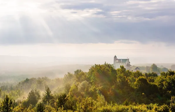 Forest, the sky, light, trees, fog, castle, morning, hill