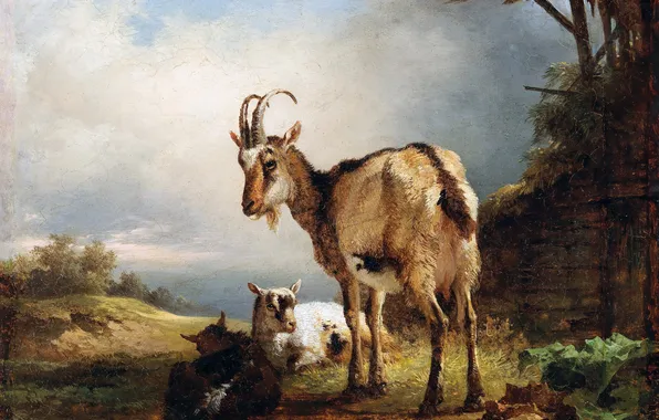 Picture, Goat, Austrian artist, Friedrich August Matthias Gauermann, Friedrich August Matthias Gauermann, Friedrich Gauermann, Friedrich …