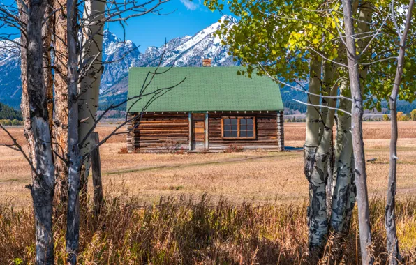 Trees, house, Grand Teton