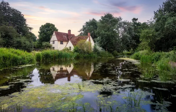 Forest, grass, trees, lake, house, pond, reflection, shore