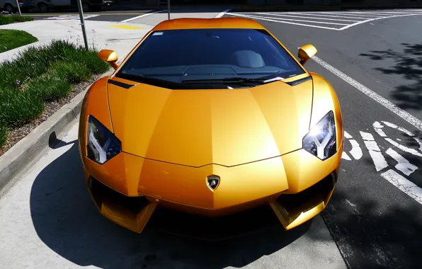 Picture grass, yellow, Parking, lamborghini, Blik, yellow, the view from the top, aventador