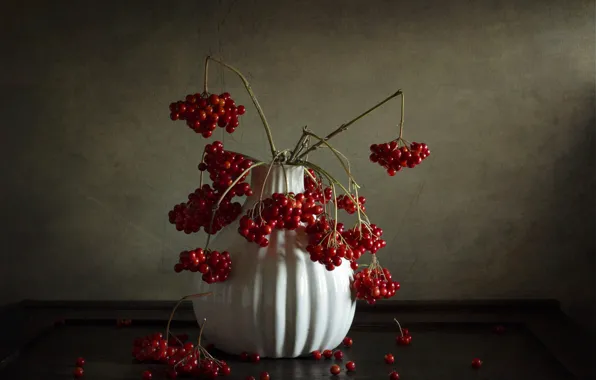 Branches, berries, table, bouquet, fruit, red, vase, still life