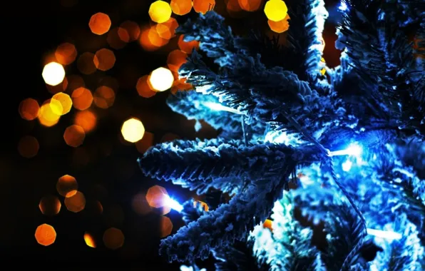 Lights, photo, mood, holiday, magic, Wallpaper, new year, tree