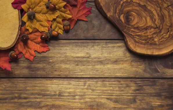 Autumn, leaves, background, tree, colorful, Board, wood, acorns
