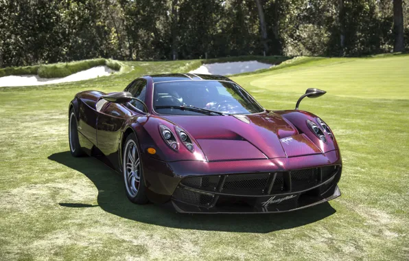 Picture Red, Pagani, Carbon, To huayr