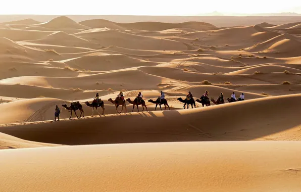 The sun, landscape, the dunes, heat, horizon, Sands, caravan, travelers