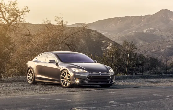 Picture MODEL, P85D, SILVER, METALLIC, TESLA, MIDNIGHT