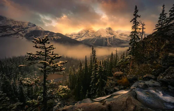 Winter, forest, the sky, clouds, snow, mountains, fog, stones