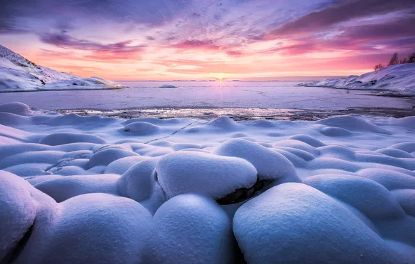 Winter, the sun, snow, nature