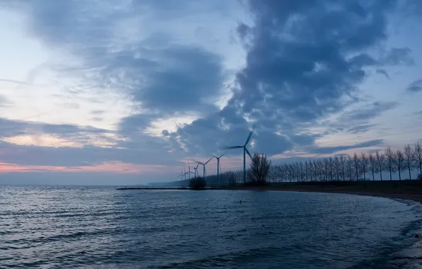 Picture sea, landscape, the evening, mill